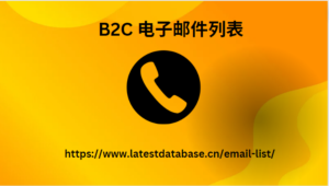 B2C 电子邮件列表